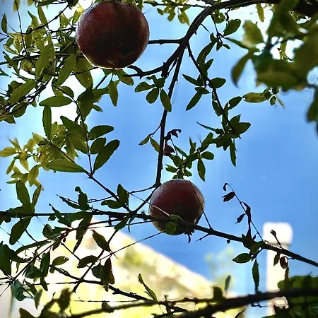 Fora - Hvar Apartment