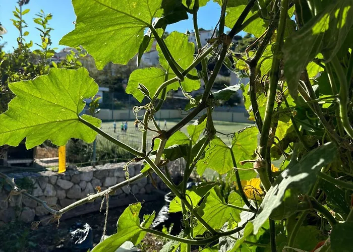 Apartment Fora - Hvar