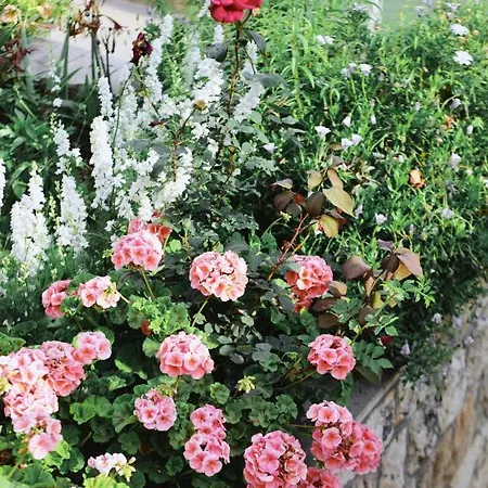 Fora - Hvar Appartement *