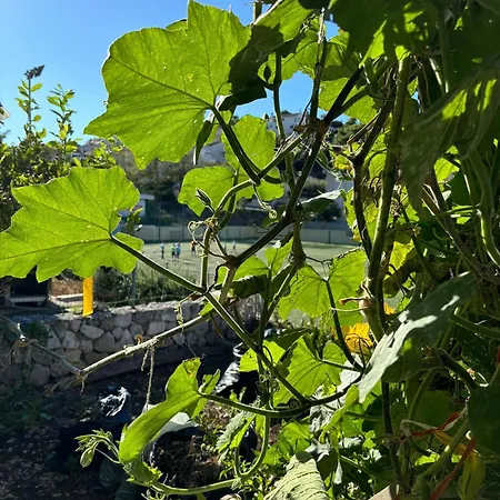 Appartement Fora - Hvar