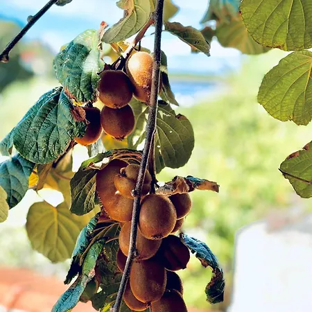 Fora - Hvar Appartement *