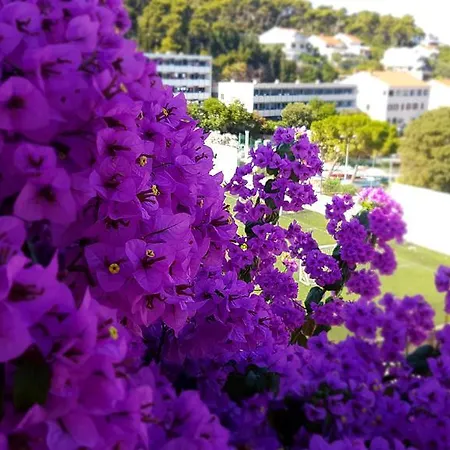 Appartement Fora - Hvar Hvar Town