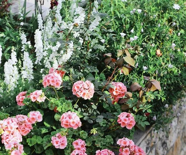 Fora - Hvar 아파트 *