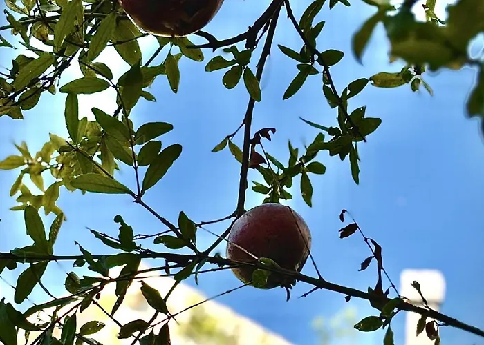 Fora - Hvar Апартаменты