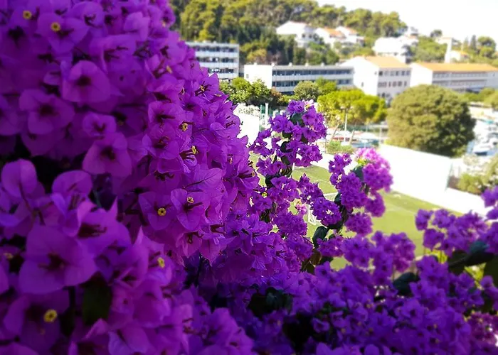 Апартаменты Fora - Hvar Хвар