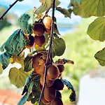 Fora - Hvar Apartment *